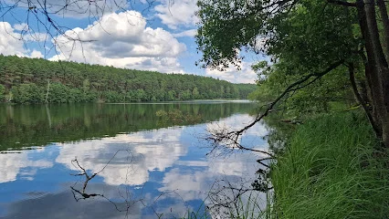 Jezioro Płęsno