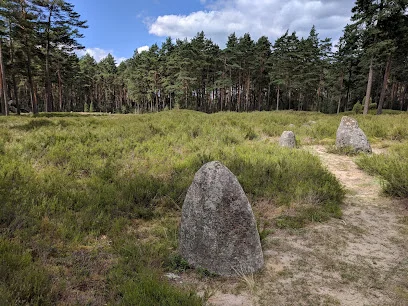 Kamienne Kręgi w Odrach
